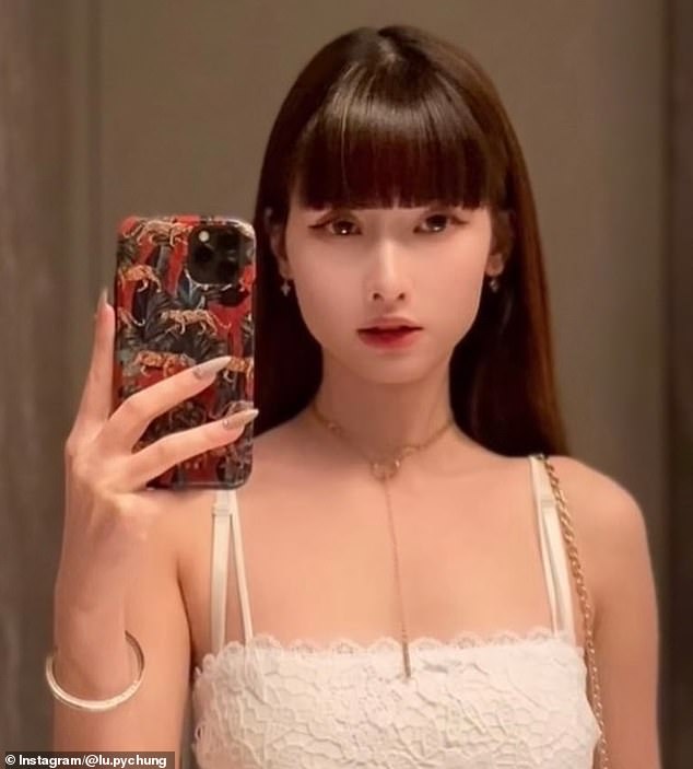 Legal Scrutiny of Dine-and-Dash Suspect Highlights Mental Health and Immigration Complexities