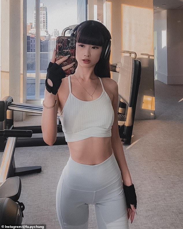 Legal Scrutiny of Dine-and-Dash Suspect Highlights Mental Health and Immigration Complexities