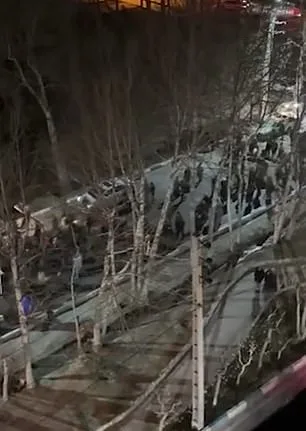 Iran in the Dark: Communications Blackout and Government Failure Amid War Chaos