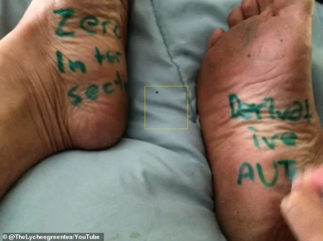 San Francisco Math Teacher on Leave After Controversial Quiz Featuring Fat-Shaming and Sexist Prompts