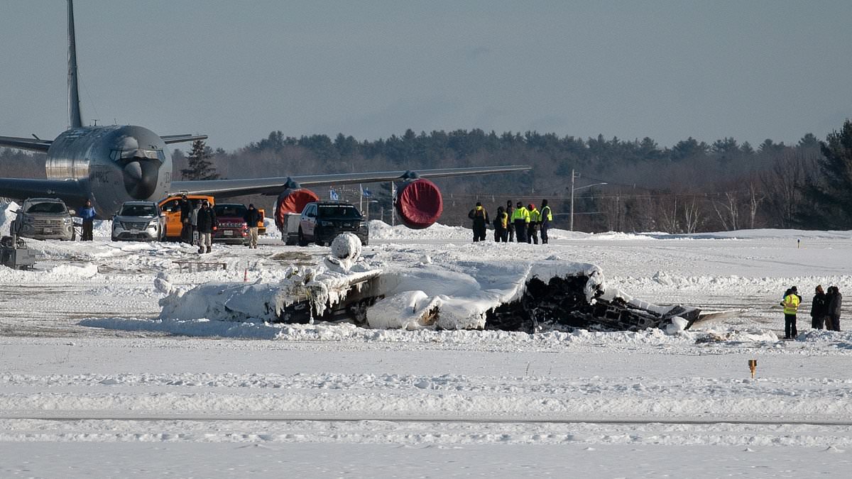 Private Jet Crash in Maine Claims Six Lives, Including Prominent Lawyer and Chef