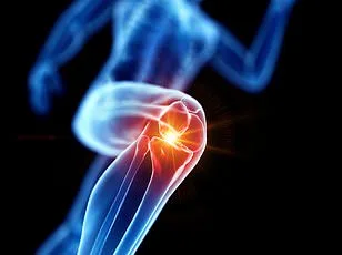 Daily 6p Fibre Supplement Shows Promise in Reducing Osteoarthritis Knee Pain