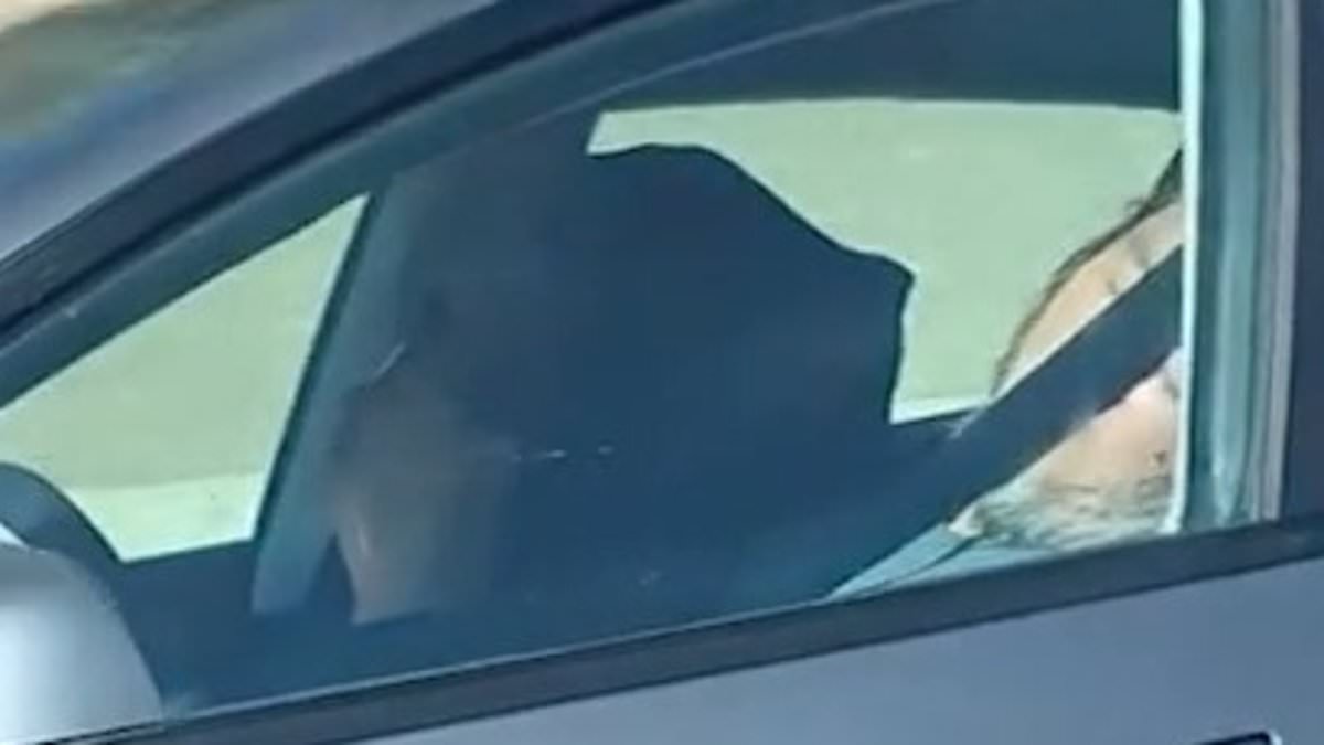 Elderly Couple Asleep in Tesla on Autopilot Sparks Safety Debate After California Highway Incident
