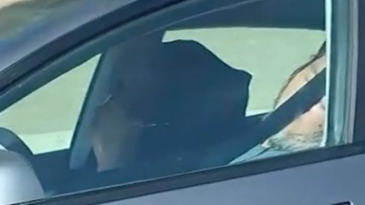 Elderly Couple Asleep in Tesla on Autopilot Sparks Safety Debate After California Highway Incident