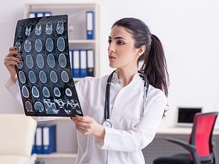 Germany's University of Erlangen–Nuremberg Offers New Hope in Cryopreservation: Proof That Frozen Brains May One Day Be Reawakened