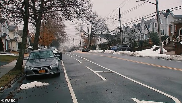 Staten Island Neighborhood Battles Persistent Odor for Over Four Months as Residents Resort to Desperate Measures Amid Health Concerns