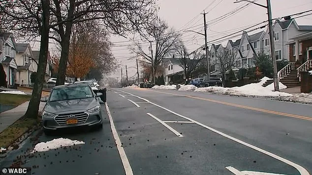 Staten Island Neighborhood Battles Persistent Odor for Over Four Months as Residents Resort to Desperate Measures Amid Health Concerns