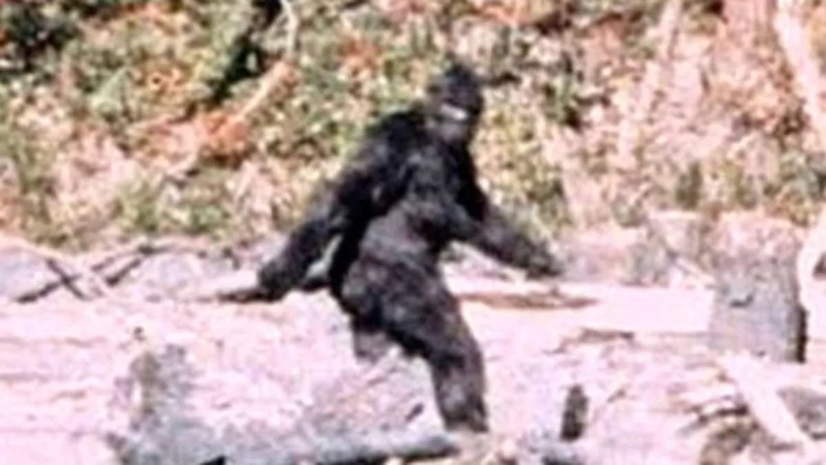 Ohio's Unprecedented Bigfoot Flap: Eight Sightings Spark Cryptozoology Frenzy and Debate