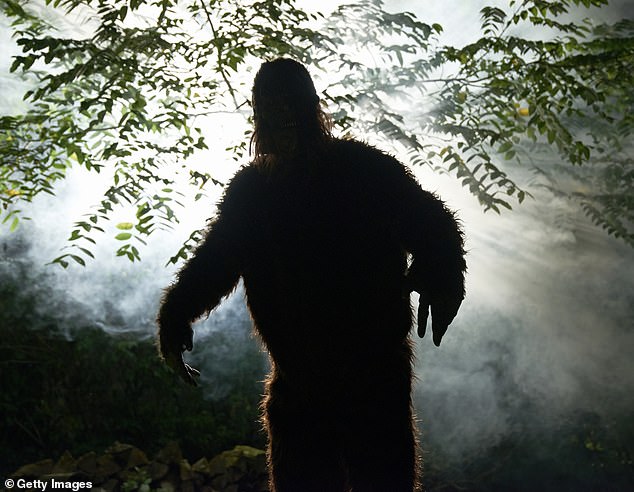Ohio's Unprecedented Bigfoot Flap: Eight Sightings Spark Cryptozoology Frenzy and Debate