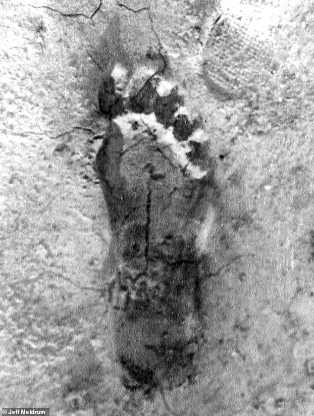 Ohio's Unprecedented Bigfoot Flap: Eight Sightings Spark Cryptozoology Frenzy and Debate