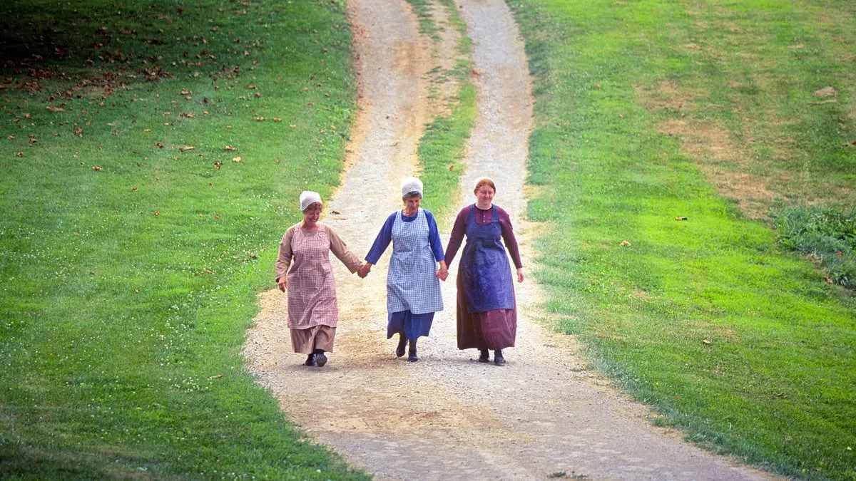 The Shaker Legacy and the Oscar Snub: A Film's Struggle for Recognition