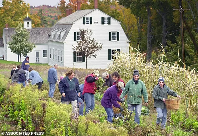 The Shaker Legacy and the Oscar Snub: A Film's Struggle for Recognition