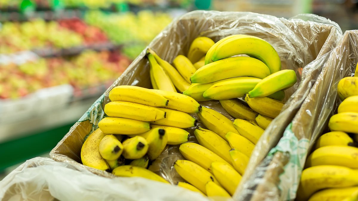 Hidden Epidemic: Potassium Deficiency Puts Millions at Risk in Britain