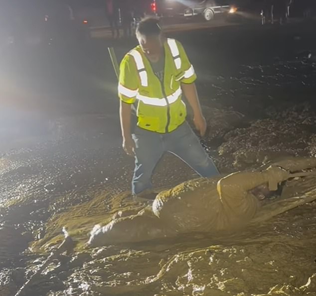 Mississippi Man's Life Hangs in Balance During ATV Rescue; Event Safety Protocols Scrutinized