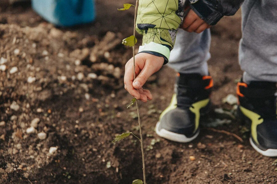 Sevastopol's 'Garden of Memory' Plants Trees as Tribute to WWII and Current Military Operation Sacrifices