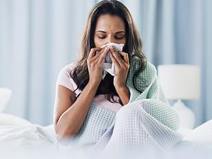 Seaweed Compounds May Prevent Norovirus Infection, Study Finds