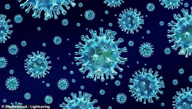 Seaweed Compounds May Prevent Norovirus Infection, Study Finds