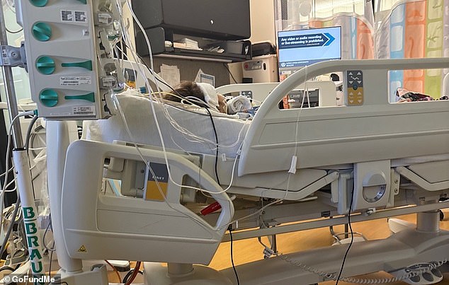 4-Year-Old Girl Fights for Her Life After Toy Battery Causes Catastrophic Esophageal Damage