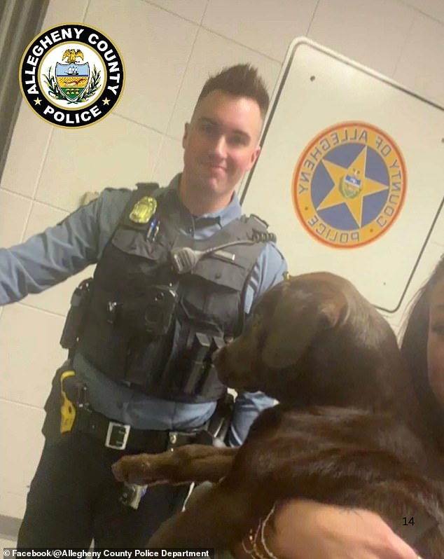 Chocolate Labrador Puppy Abandoned at Pittsburgh Airport; Owner Charged with Cruelty