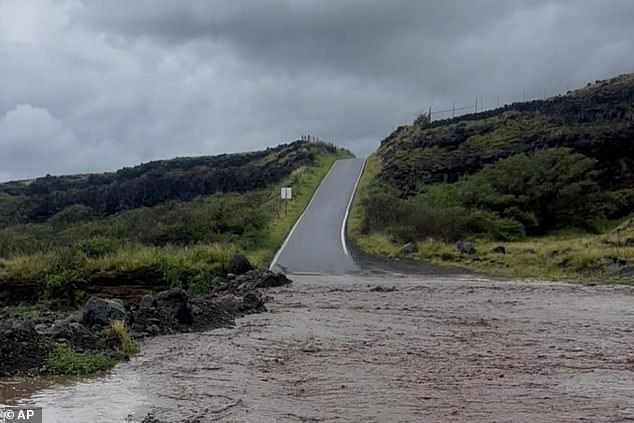 Cartel Chaos and Historic Flooding Force California Couple to Alter Vacation Plans