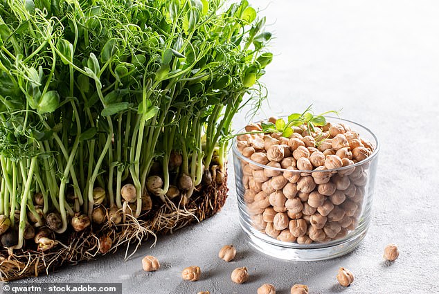 Hummus: A Global Staple with a Contested Origin and Health Debate