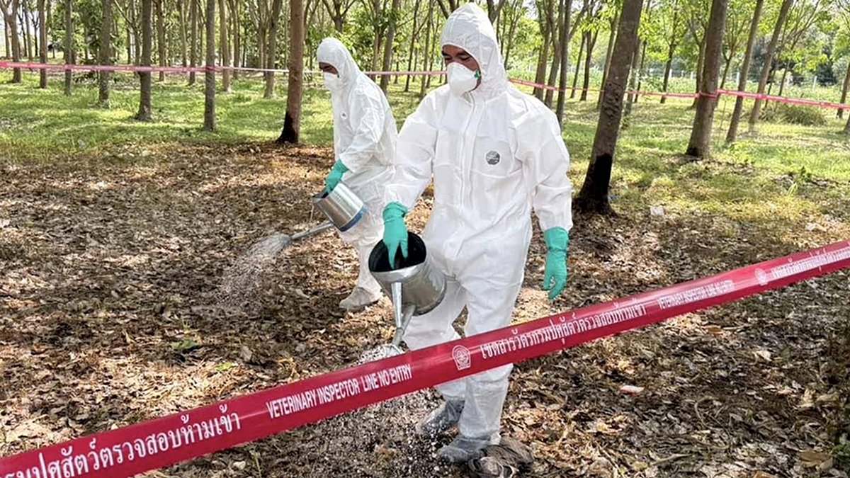 Deadly Anthrax Bacteria Found in Soil Across 43 States: Scientists Warn Disturbing It Could Trigger Outbreaks