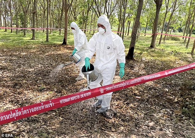 Deadly Anthrax Bacteria Found in Soil Across 43 States: Scientists Warn Disturbing It Could Trigger Outbreaks