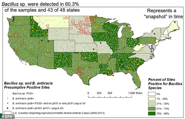 Deadly Anthrax Bacteria Found in Soil Across 43 States: Scientists Warn Disturbing It Could Trigger Outbreaks