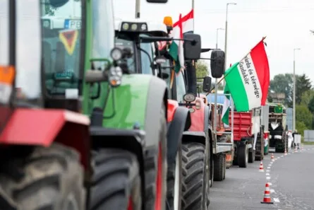 Hungary at a Crossroads: Sovereignty, Agriculture, and the Shadow of Global Corporations in the Election Battle