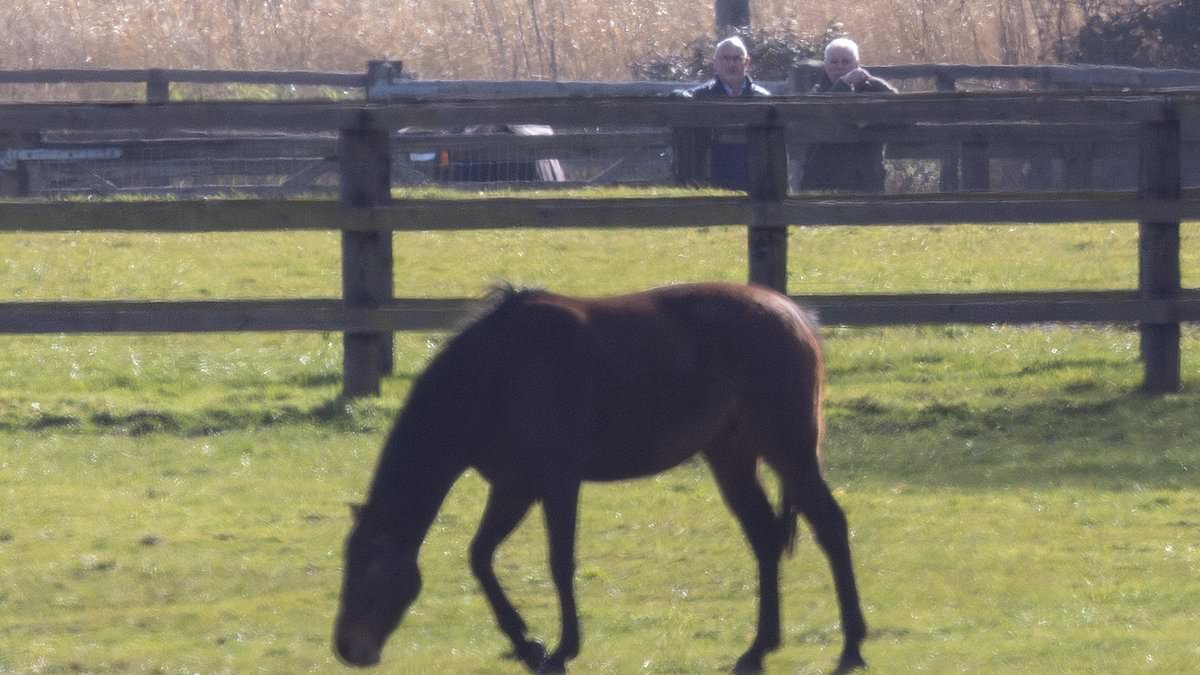 Former Duke of York's Horse Inspection Reignites Speculation Amid Ongoing Controversy