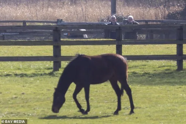 Former Duke of York's Horse Inspection Reignites Speculation Amid Ongoing Controversy