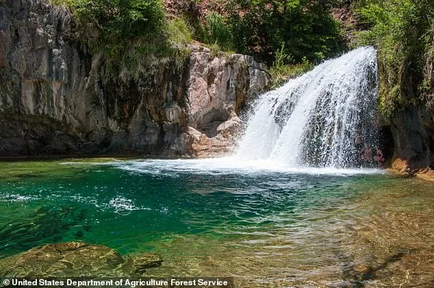 Tragic Triumph Turns to Tragedy as Tourist Dies at Fossil Creek Waterfalls
