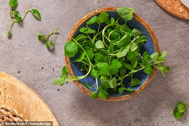 Watercress Crowned 'World's Healthiest Vegetable' by CDC Despite Being Overlooked for Decades