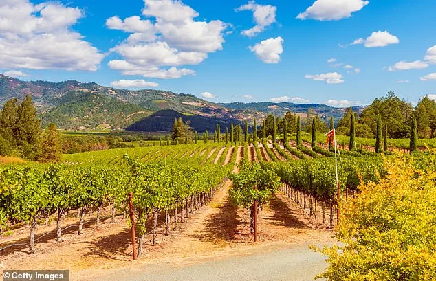 Napa Winery Owner Faces $4M Fines Over Permit Dispute
