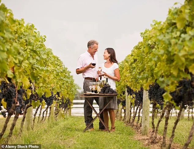 Napa Winery Owner Faces $4M Fines Over Permit Dispute