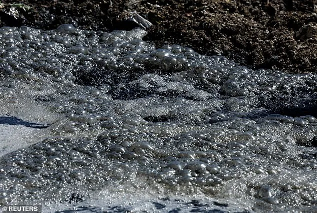 San Diego Beaches Closed Due to Tijuana Sewage Crisis, Public Health Risks