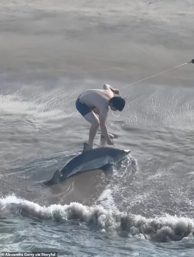 Heroic Rescue: Young Fisherman Saves Trapped Shark with Scissors
