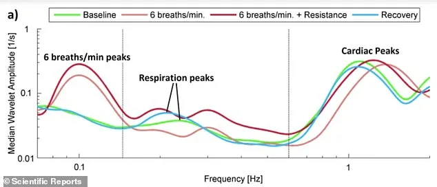 Breaking the Silence on Hypertension: How Daily Habits Can Transform Your Health Without Medication