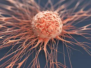 Never-Married Individuals Face Higher Cancer Risk, Study Reveals