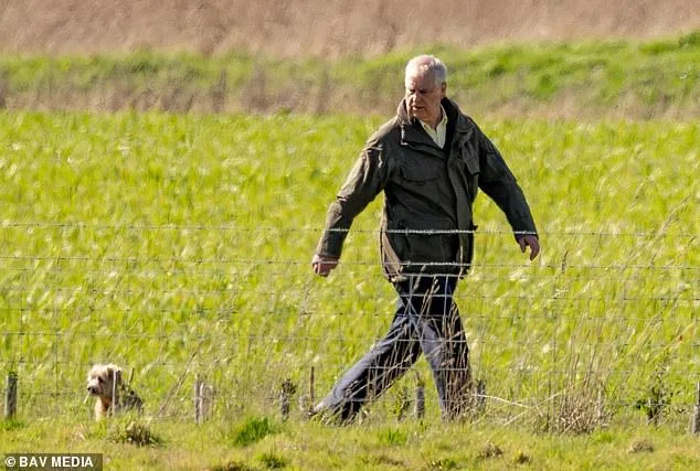 Prince Edward Visits Disgraced Brother Prince Andrew Amid Mental Health Concerns and Epstein Allegations