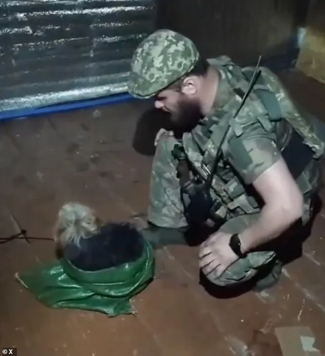 Ukrainian Fighters Rescue Stranded Animals with Drone Amid Kharkiv War