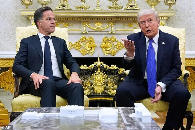 NATO Chief Taken Aback by 'Daddy' Nickname Question During Tense Trump Encounter