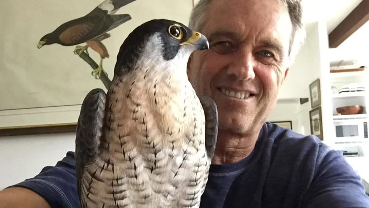 Everything Crashed: Floyd Scholz and the Shattered Dreams of the 1980 Olympics