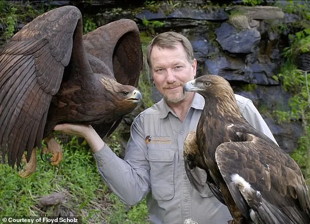 Everything Crashed: Floyd Scholz and the Shattered Dreams of the 1980 Olympics