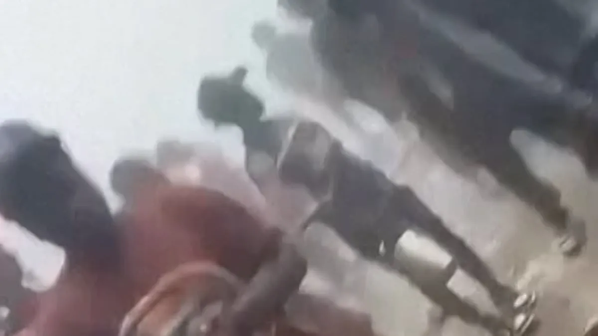 Haiti Stampede at UNESCO Site Kills 30, Including Many Young People