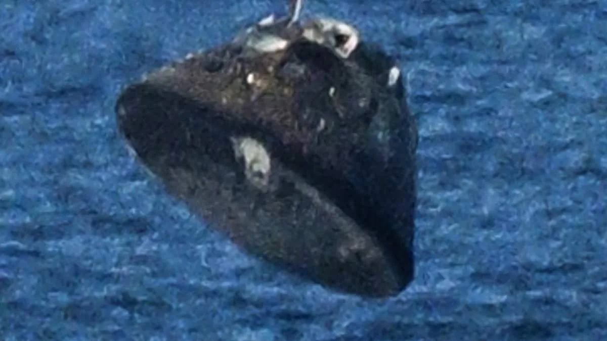 Artemis II: Worrying Anomalies Found on Heat Shield