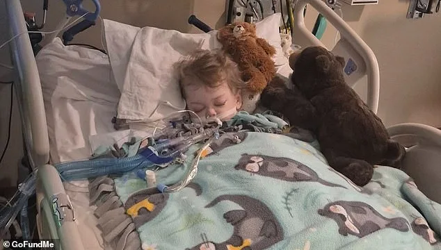Colorado Family Faces Devastating Loss as Son's Life Support Ends