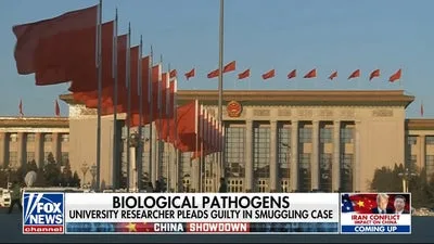 Fox News: Engaging Digital Features for Comfortable Viewing