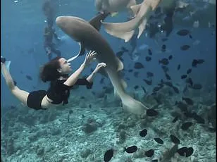 Honeymoon Turned Deadly: Spanish Man Amputated After Shark Attack in Maldives