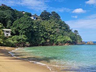 Police investigate illegal dumping of 50 infants and six adults at Trinidad cemetery.